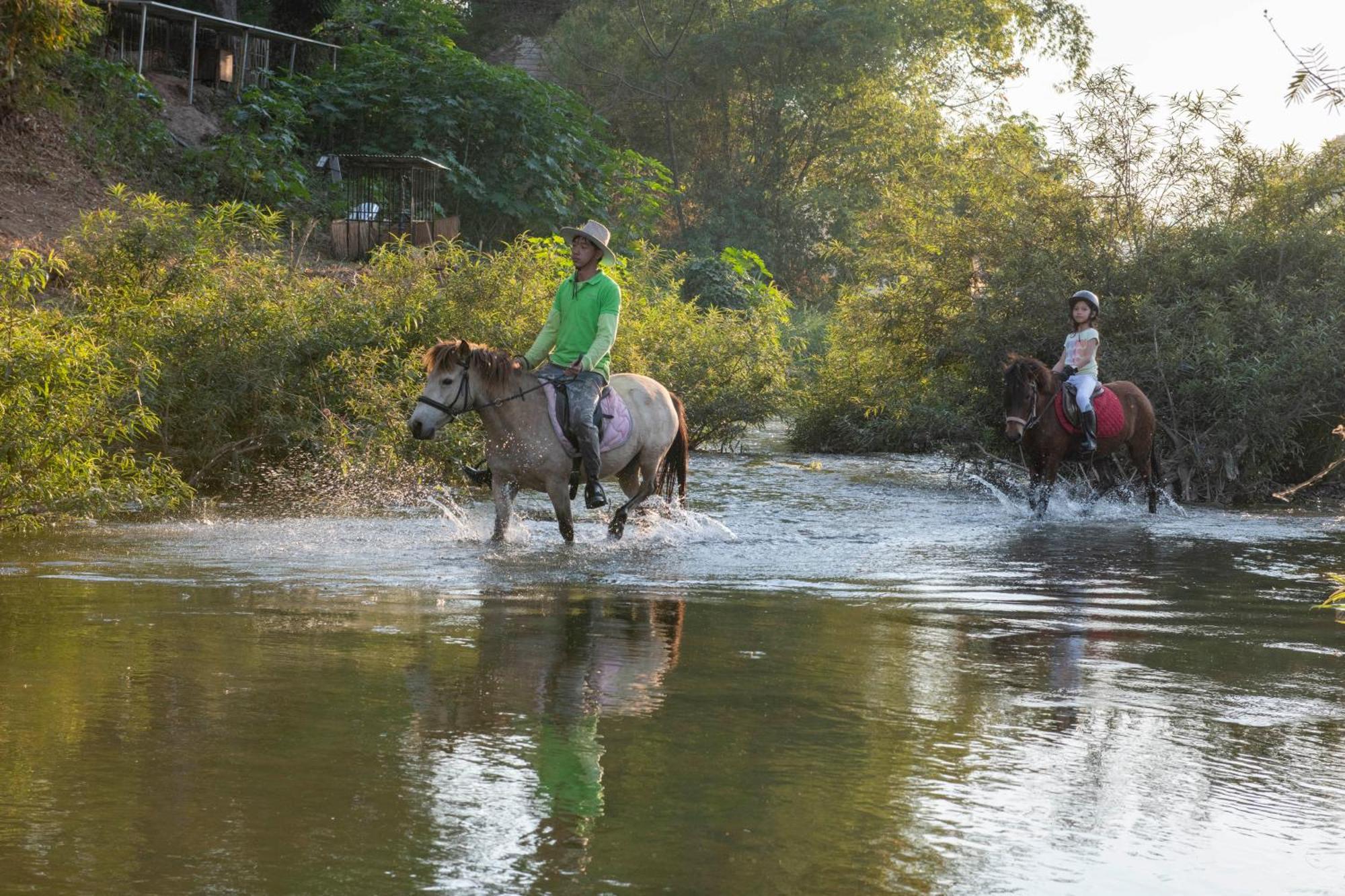 Namkhan Horses Stables Luang Prabang Ngoại thất bức ảnh