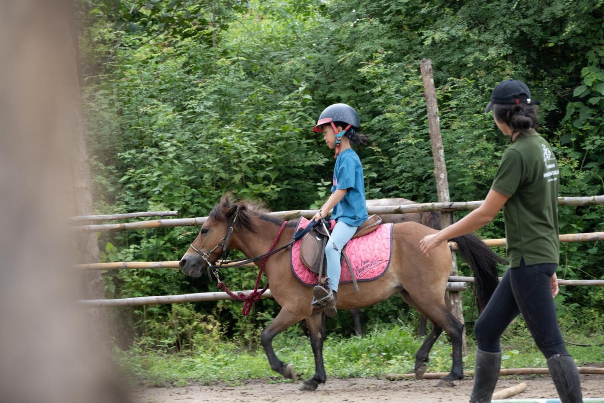 Namkhan Horses Stables Luang Prabang Ngoại thất bức ảnh