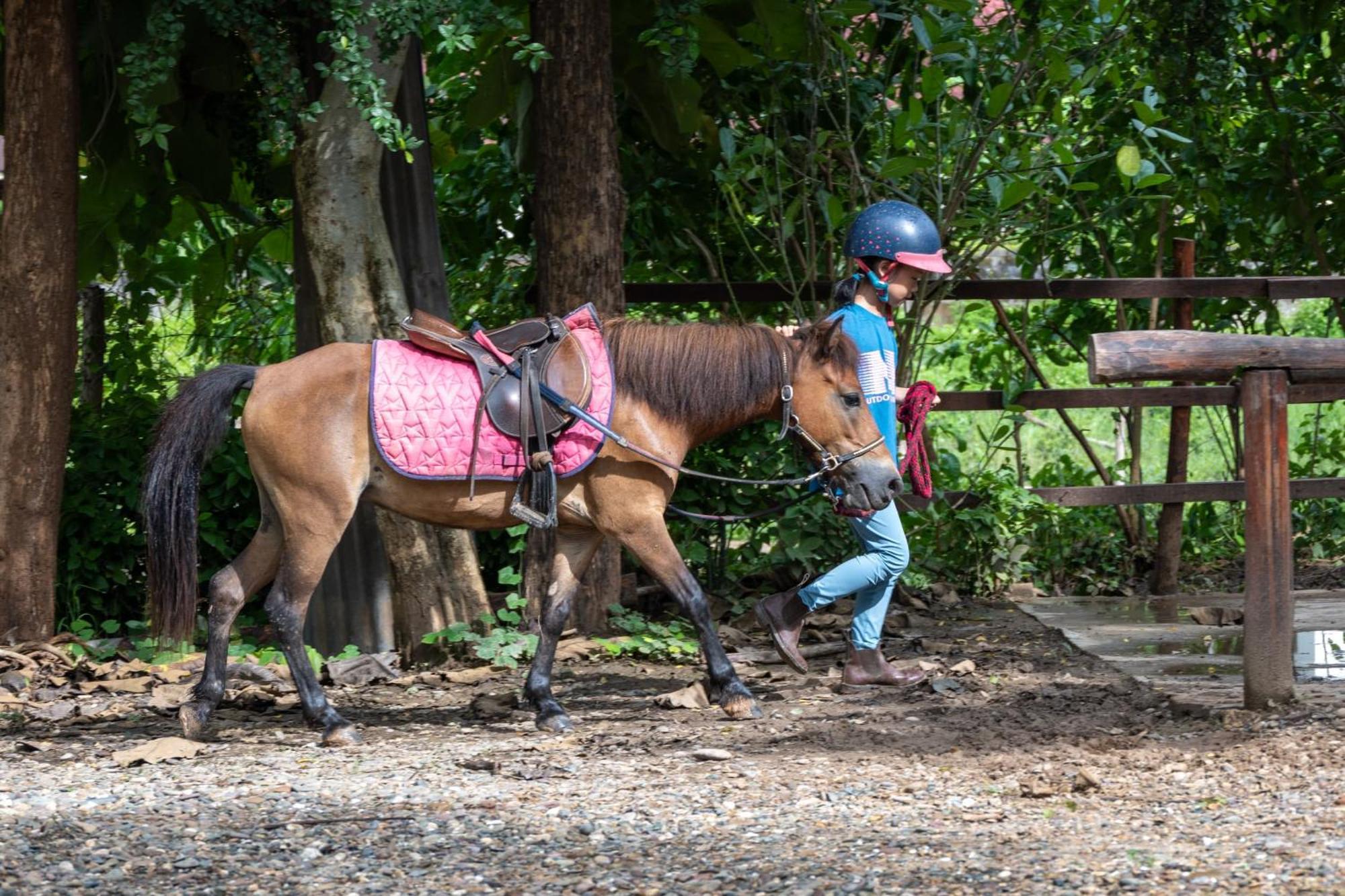 Namkhan Horses Stables Luang Prabang Ngoại thất bức ảnh