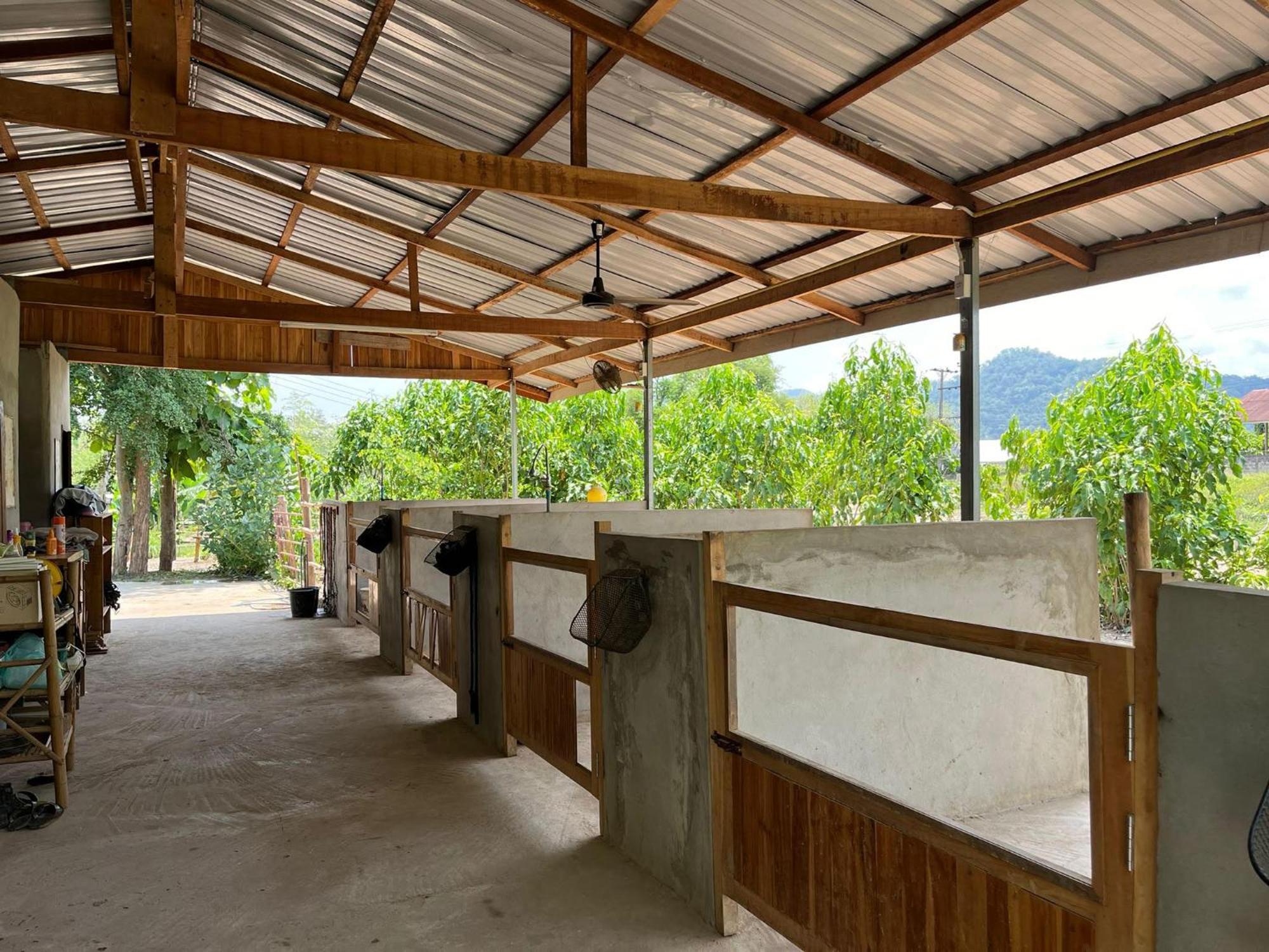 Namkhan Horses Stables Luang Prabang Ngoại thất bức ảnh